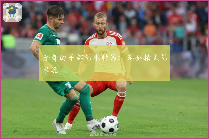 李哥的手部艺术特写：宛如精美艺术品