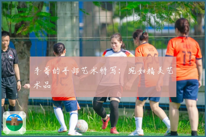 李哥的手部艺术特写：宛如精美艺术品